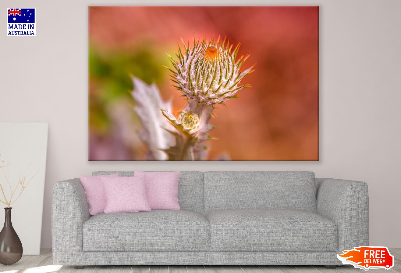 Thistle Flower Closeup Photograph Print 100% Australian Made