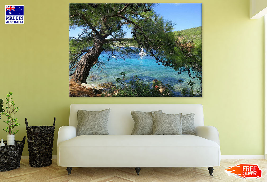 Tree Near Sea Photograph Print 100% Australian Made