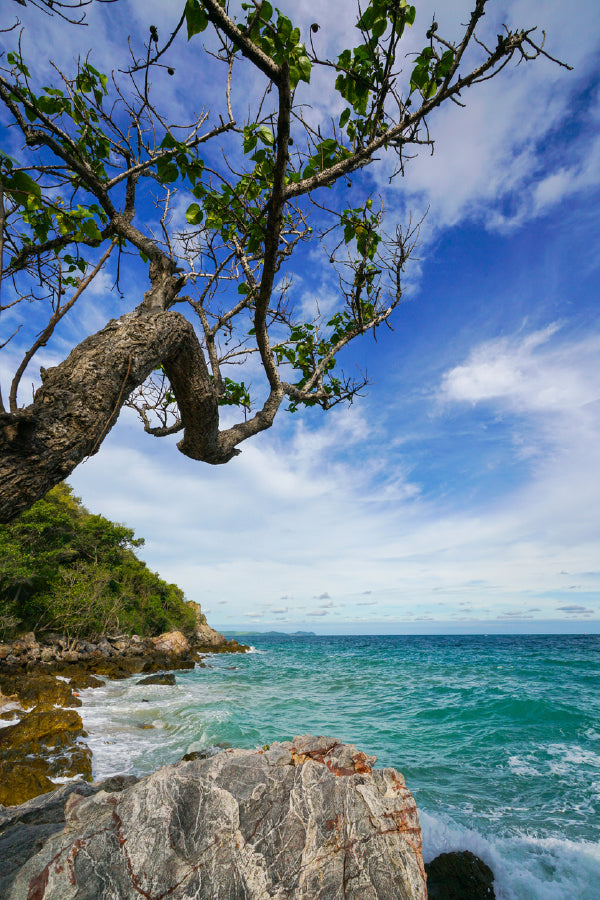 Sand Beach Among Rocks Koh Lan Island Print 100% Australian Made