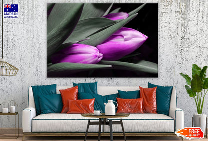 Purple Tulip Flowers with Leaves Photograph Print 100% Australian Made
