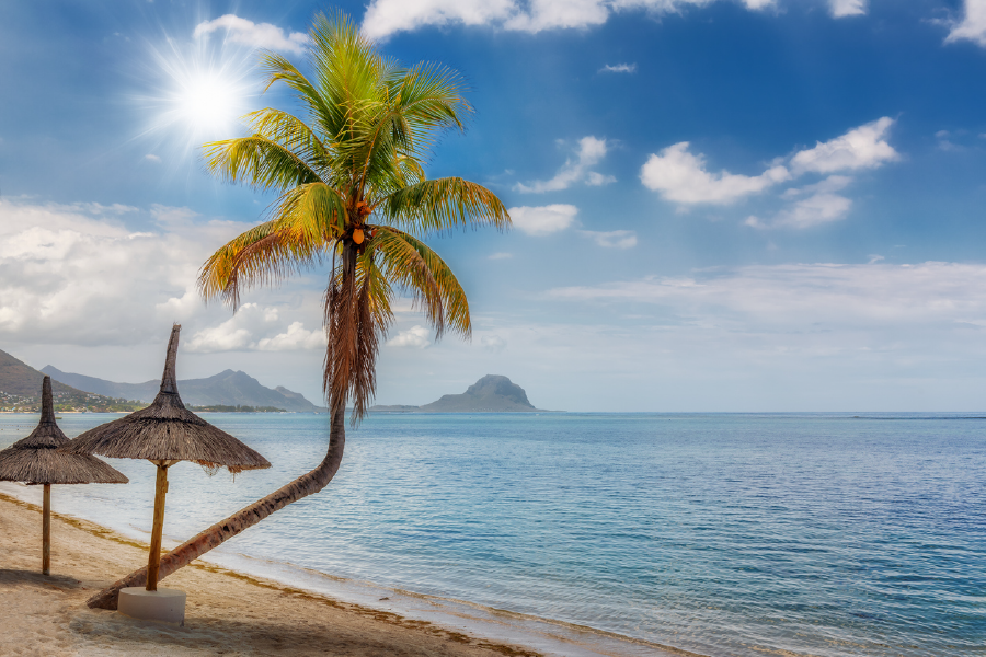 Beach Hut Palm Tree & Sea Sky View Photograph Home Decor Premium Quality Poster Print Choose Your Sizes