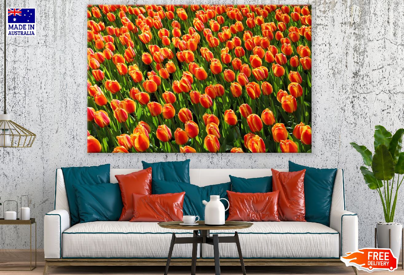 Orange and Yellow Tulip Flowers Field Photograph Print 100% Australian Made