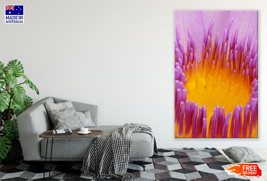 Purple Lily Flower Macro Photograph Print 100% Australian Made