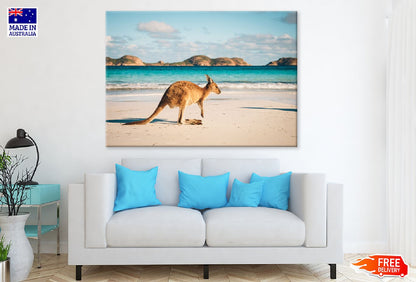 Kangaroo at Lucky Bay Beach View Photograph Print 100% Australian Made