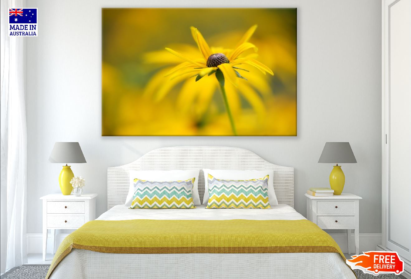 Yellow Coneflower Closeup Photograph Print 100% Australian Made