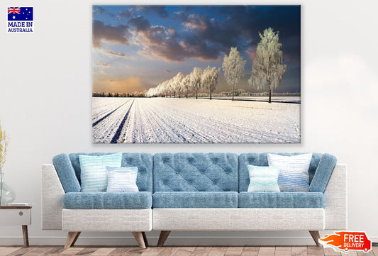 Snow Covered Trees on Snow Field Sunset Photograph Print 100% Australian Made