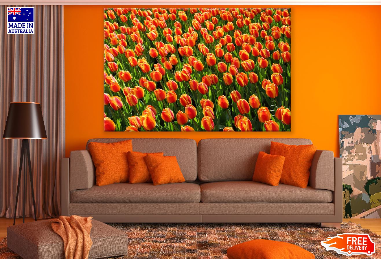 Orange and Yellow Tulip Flowers Field Photograph Print 100% Australian Made