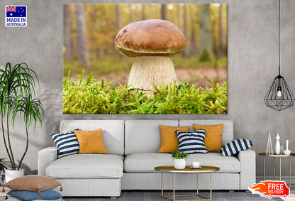 Huge Mushroom Closeup Photograph Print 100% Australian Made