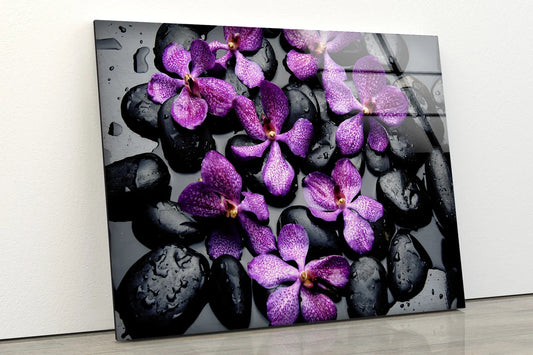 Purple Flowers on Wet Black Stones Photograph Acrylic Glass Print Tempered Glass Wall Art 100% Made in Australia Ready to Hang