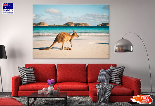 Kangaroo at Lucky Bay Beach View Photograph Print 100% Australian Made