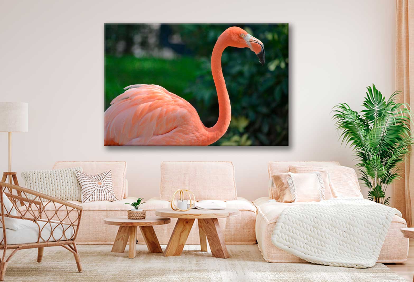 Bella Home Closeup Photograph of A Flamingo Print Canvas Ready to hang