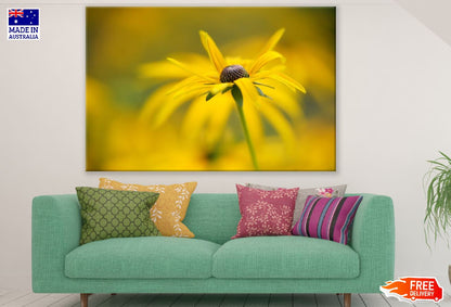 Yellow Coneflower Closeup Photograph Print 100% Australian Made