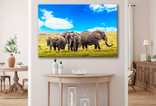 Bella Home Herd of Elephants & Grass Field Print Canvas Ready to hang