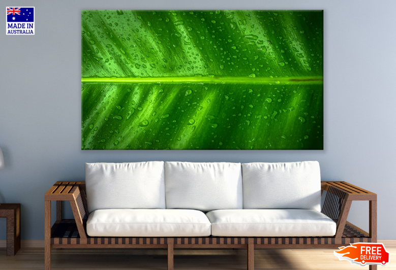 Green Abstract Design Print 100% Australian Made
