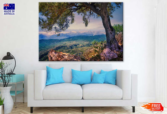 Tree & Mountain Scenery Photograph Print 100% Australian Made