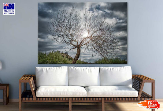 Dry Tree & Cloudy Sky Photograph Print 100% Australian Made