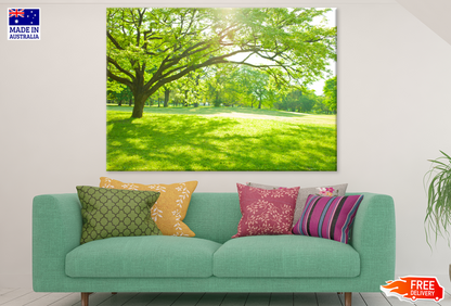 Nature Graden & Trees View Photograph Print 100% Australian Made