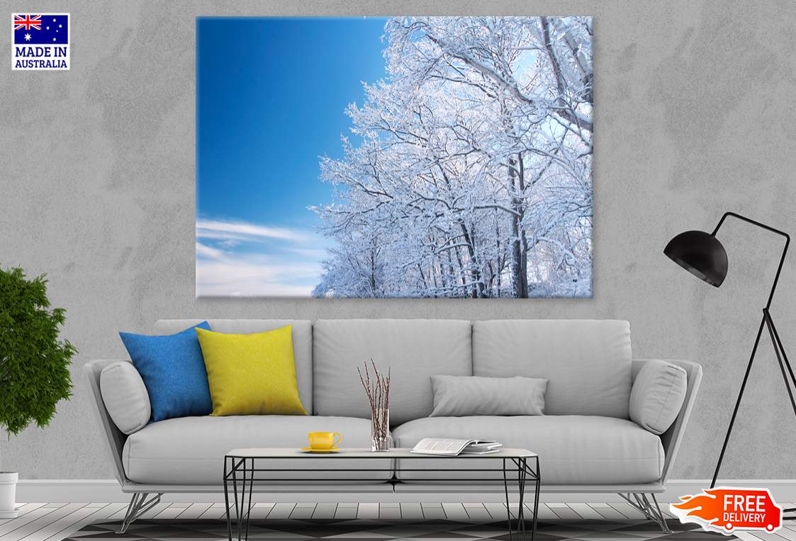 Snow Coverd Trees & Sky View Photograph Print 100% Australian Made