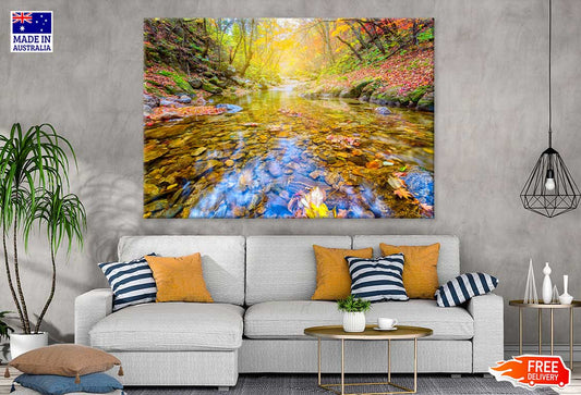 Jangtaesan Autumn Forest River Photograph Print 100% Australian Made
