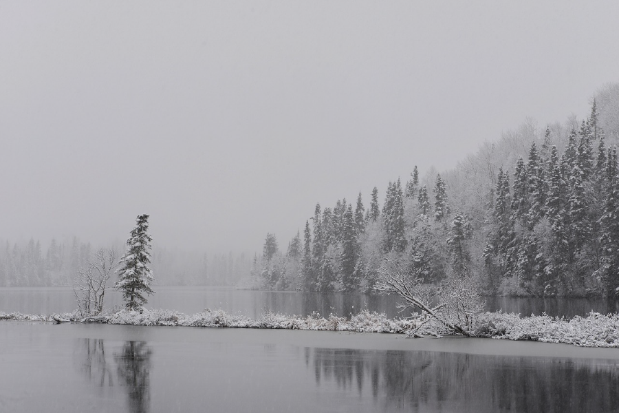 Forest & Lake Covered with Snow Photograph Print 100% Australian Made