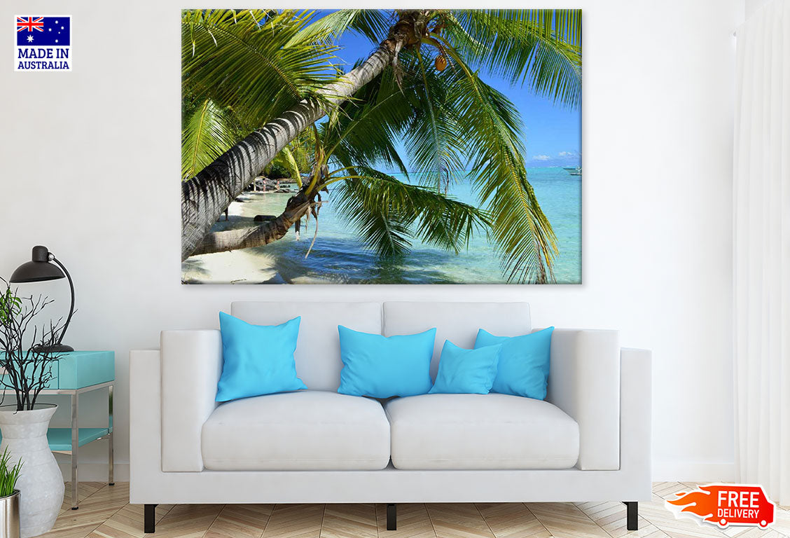 Palm Trees Near Sea Photograph Print 100% Australian Made