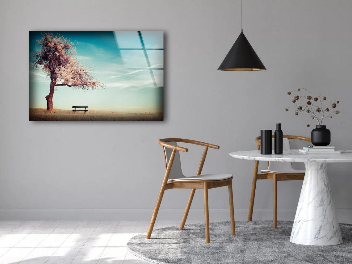 Bench Near Blossom Tree Photograph Acrylic Glass Print Tempered Glass Wall Art 100% Made in Australia Ready to Hang