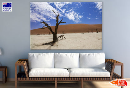 Dead Tree on Desert Under Blue Sky Photograph Print 100% Australian Made