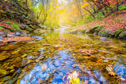 Jangtaesan Autumn Forest River Scenery View Home Decor Premium Quality Poster Print Choose Your Sizes