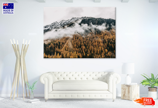Misty Forest & Mountain View Photograph Print 100% Australian Made
