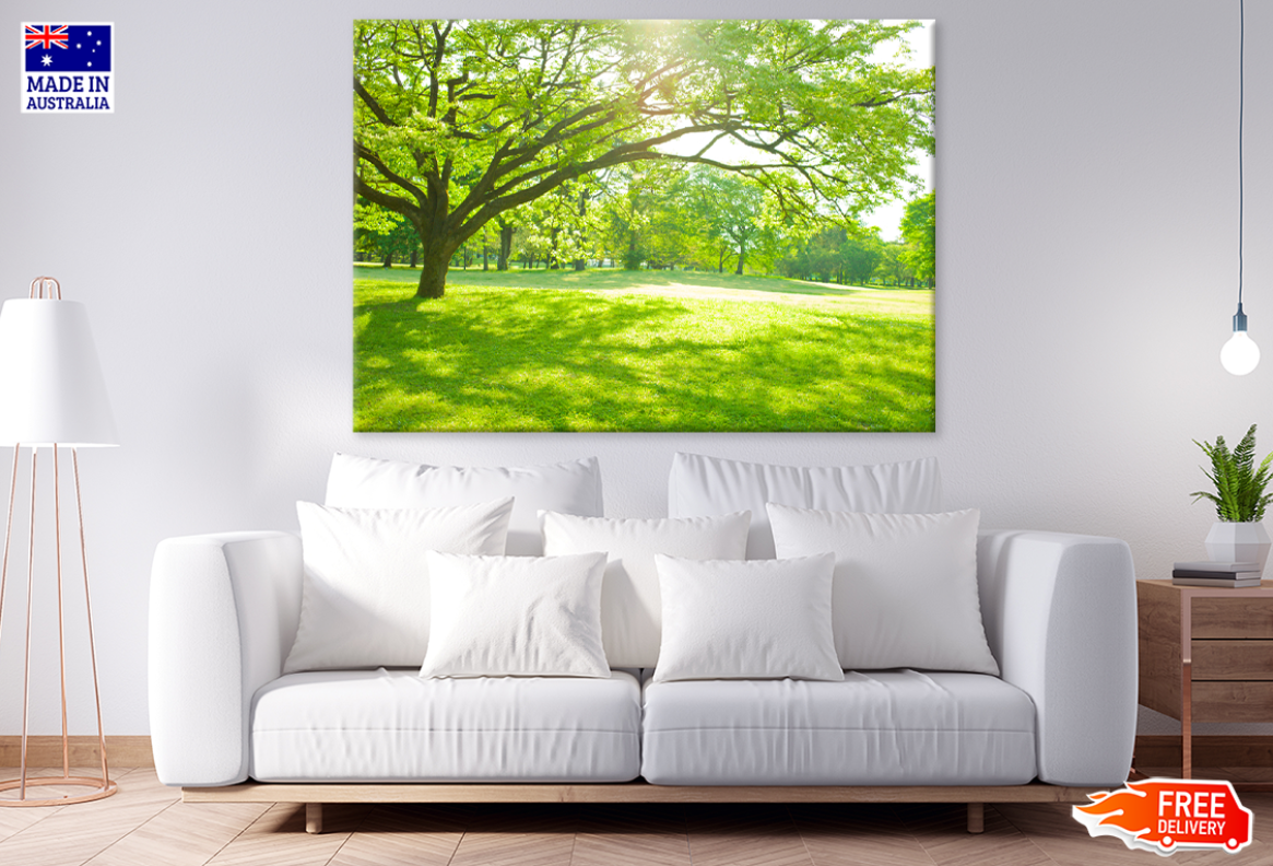 Nature Graden & Trees View Photograph Print 100% Australian Made