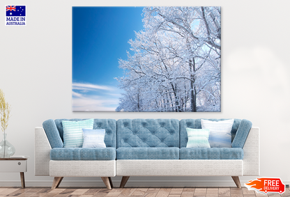 Snow Coverd Trees & Sky View Photograph Print 100% Australian Made