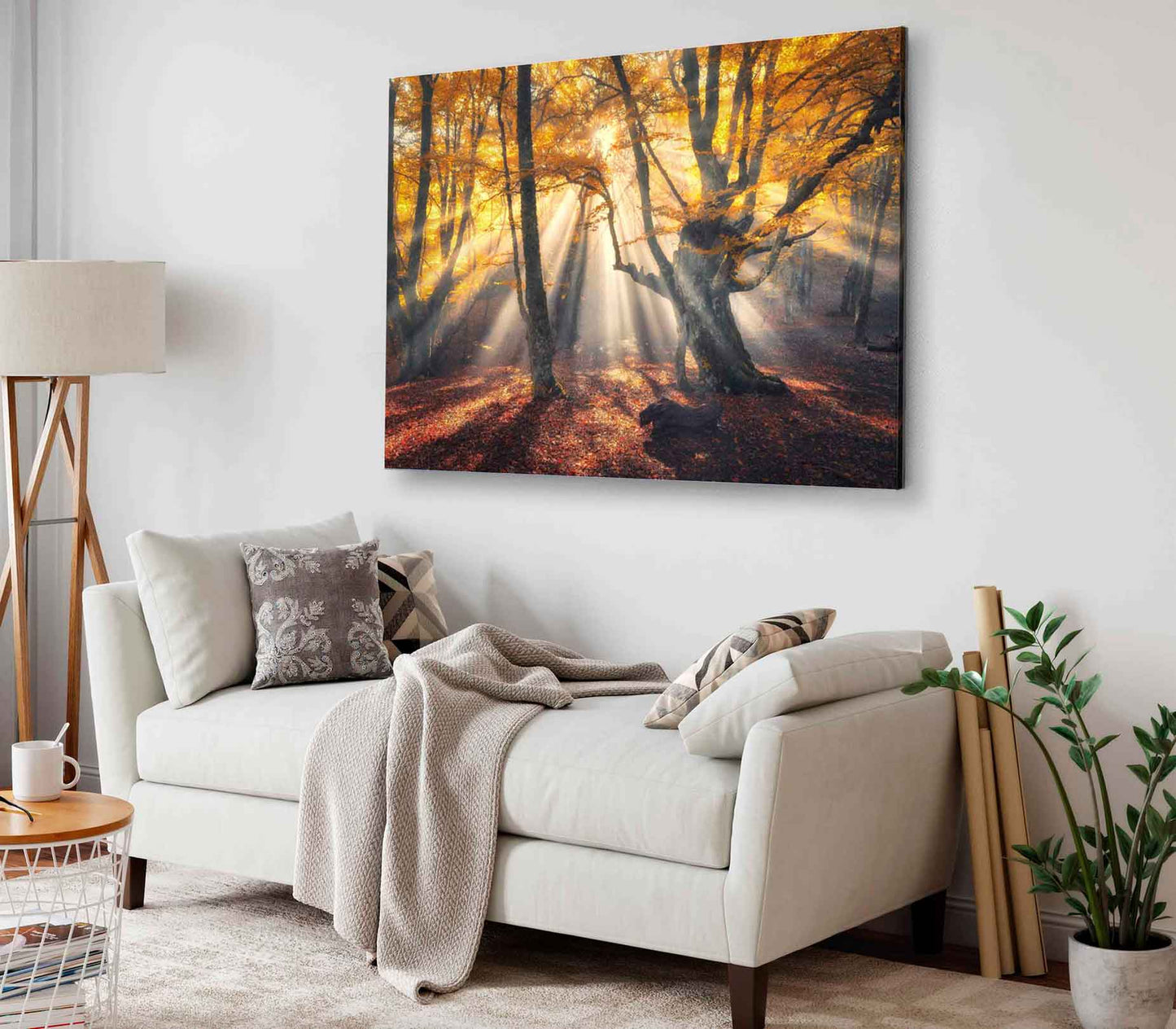 Bella Home Sunrays Through Autumn Tree View Print Canvas Ready to hang