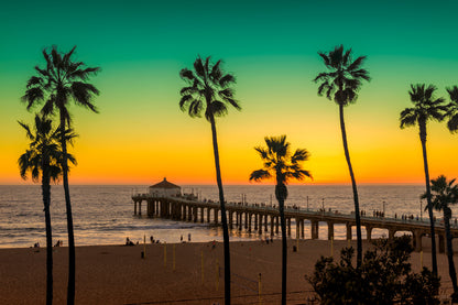 Palm Trees near Beach Sunset View Photograph Print 100% Australian Made