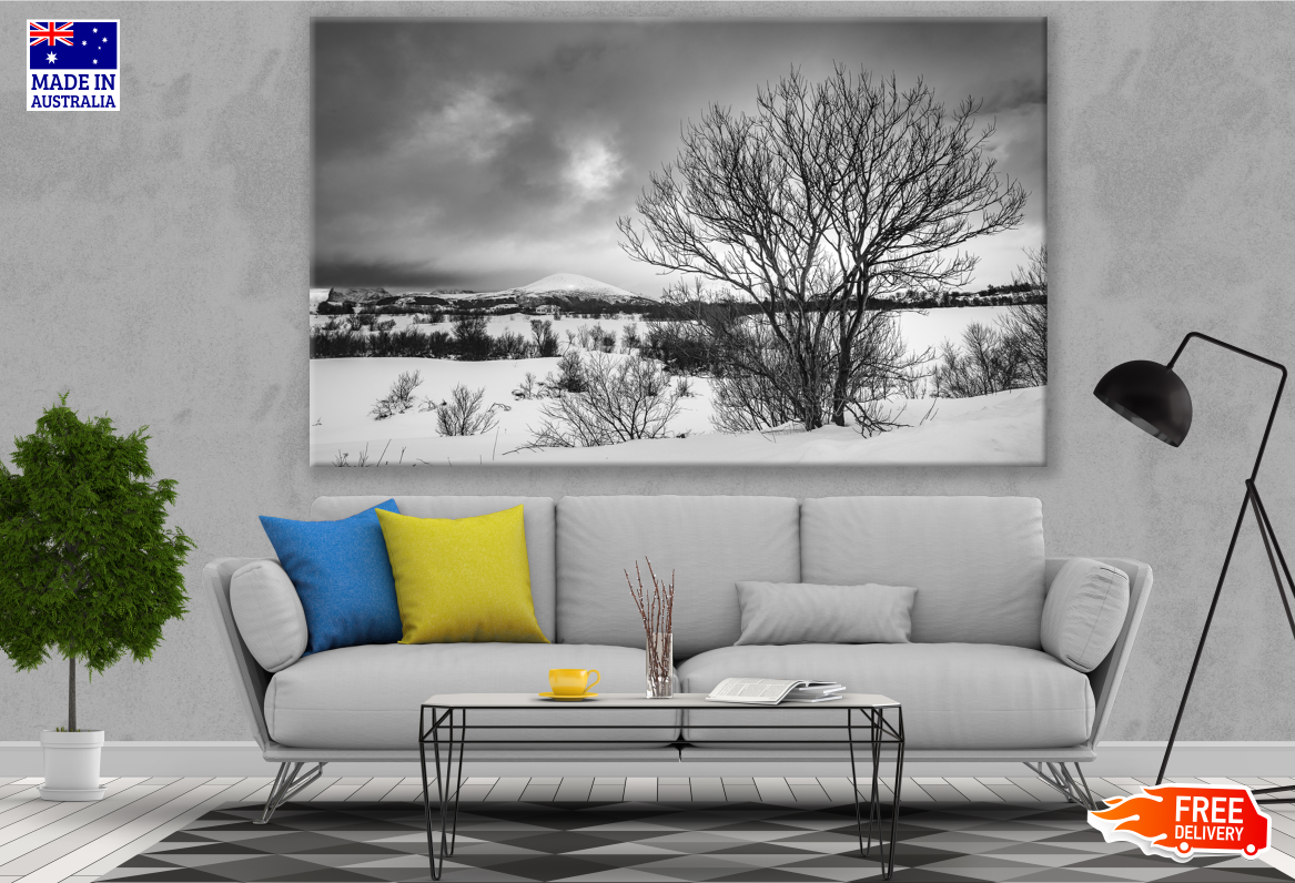 Tree on Snow Ground Mountain View Scenery B&W Print 100% Australian Made