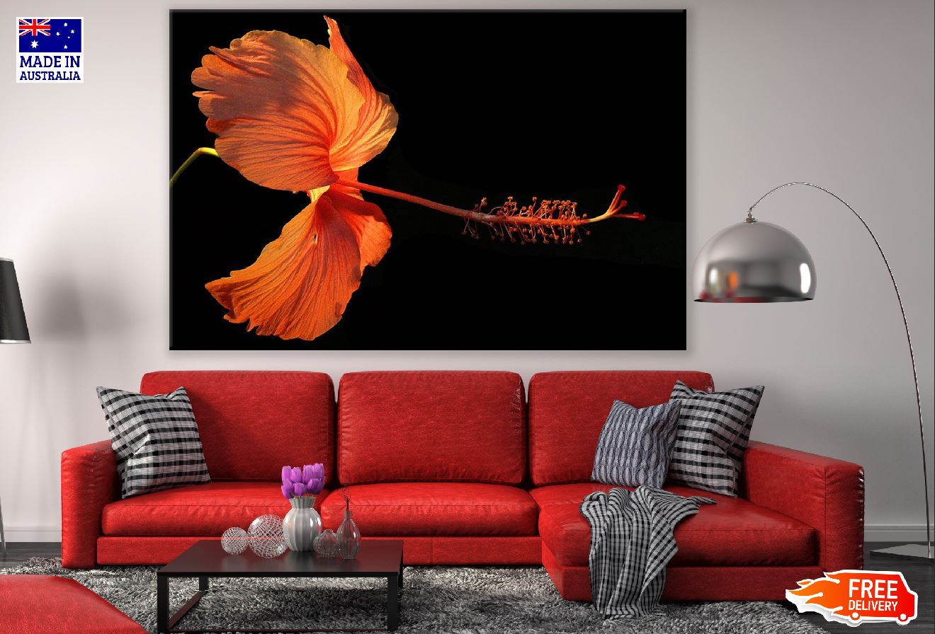 Orange Hibiscus Flower Closeup Photograph Print 100% Australian Made