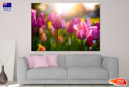 Pink Tulip Flower Sunset View Photograph Print 100% Australian Made