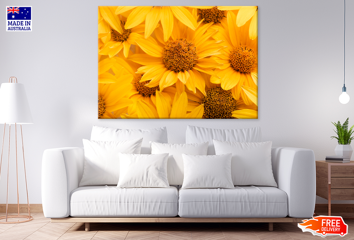 Sunflowes Closeup Photograph Print 100% Australian Made