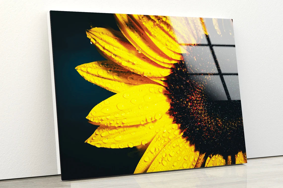 Sunflower Closeup Photograph Acrylic Glass Print Tempered Glass Wall Art 100% Made in Australia Ready to Hang