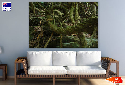 Green Trees Rope Photograph Print 100% Australian Made