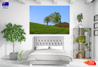 Tall Trees & Grass Field Photograph Print 100% Australian Made