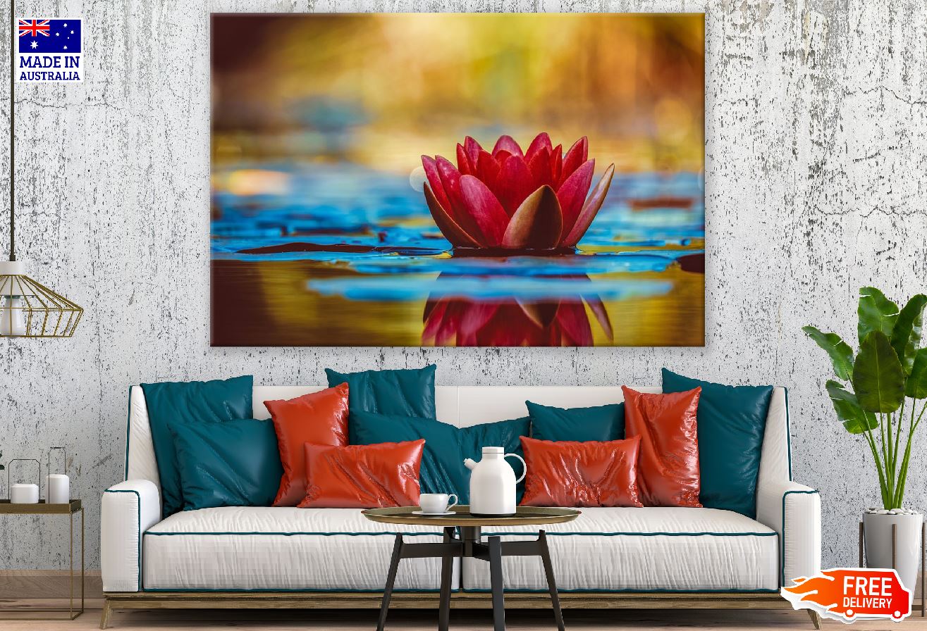 Red Water Lily Flower Floting on Water Photograph Print 100% Australian Made