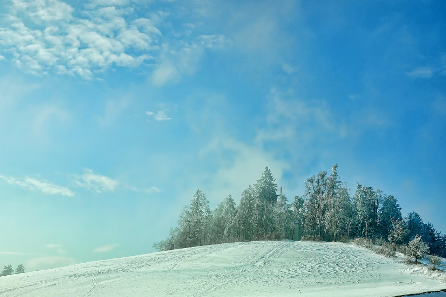 Forest Mountain Covered with Snow Photograph Print 100% Australian Made