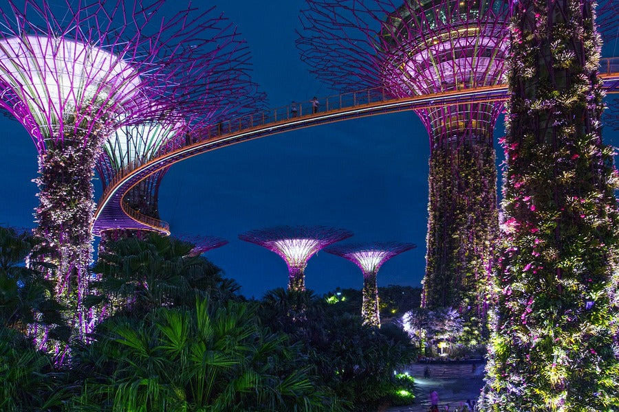 Gardens by the Bay Singapore Night View Photograph Print 100% Australian Made
