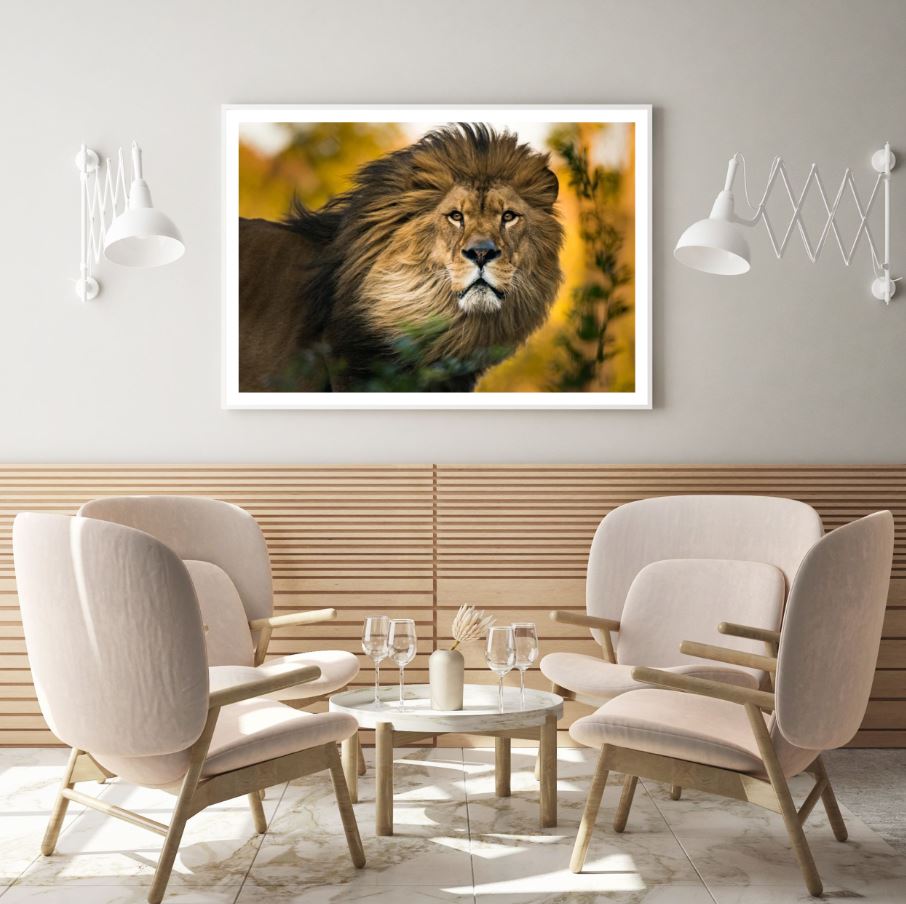 Lion Portrait Closeup Photograph Home Decor Premium Quality Poster Print Choose Your Sizes