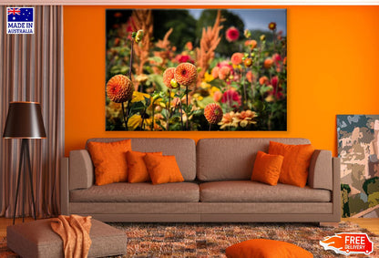 Orange Dahlias Flower Field Photograph Print 100% Australian Made