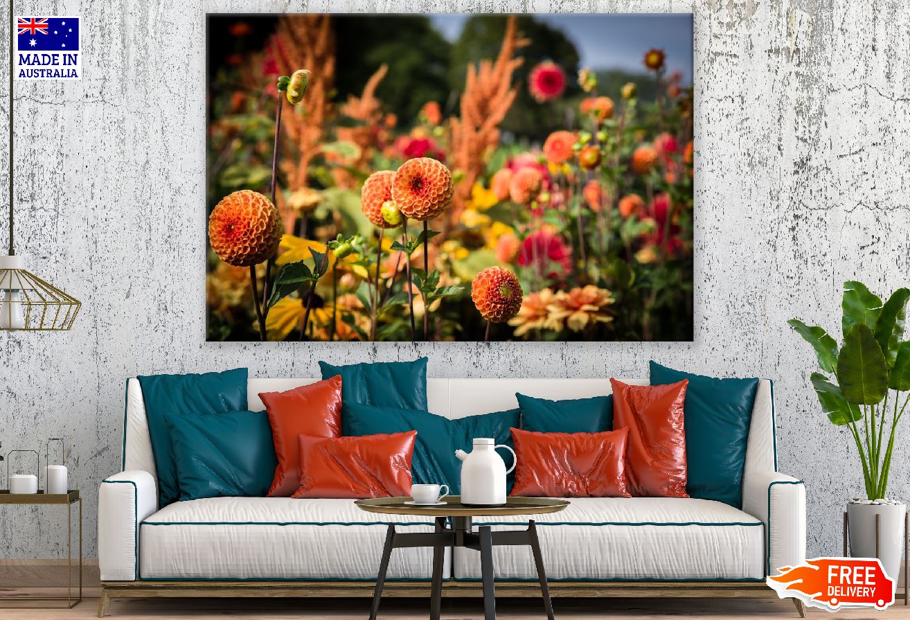 Orange Dahlias Flower Field Photograph Print 100% Australian Made
