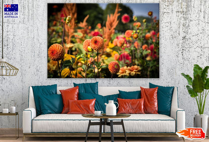 Orange Dahlias Flower Field Photograph Print 100% Australian Made