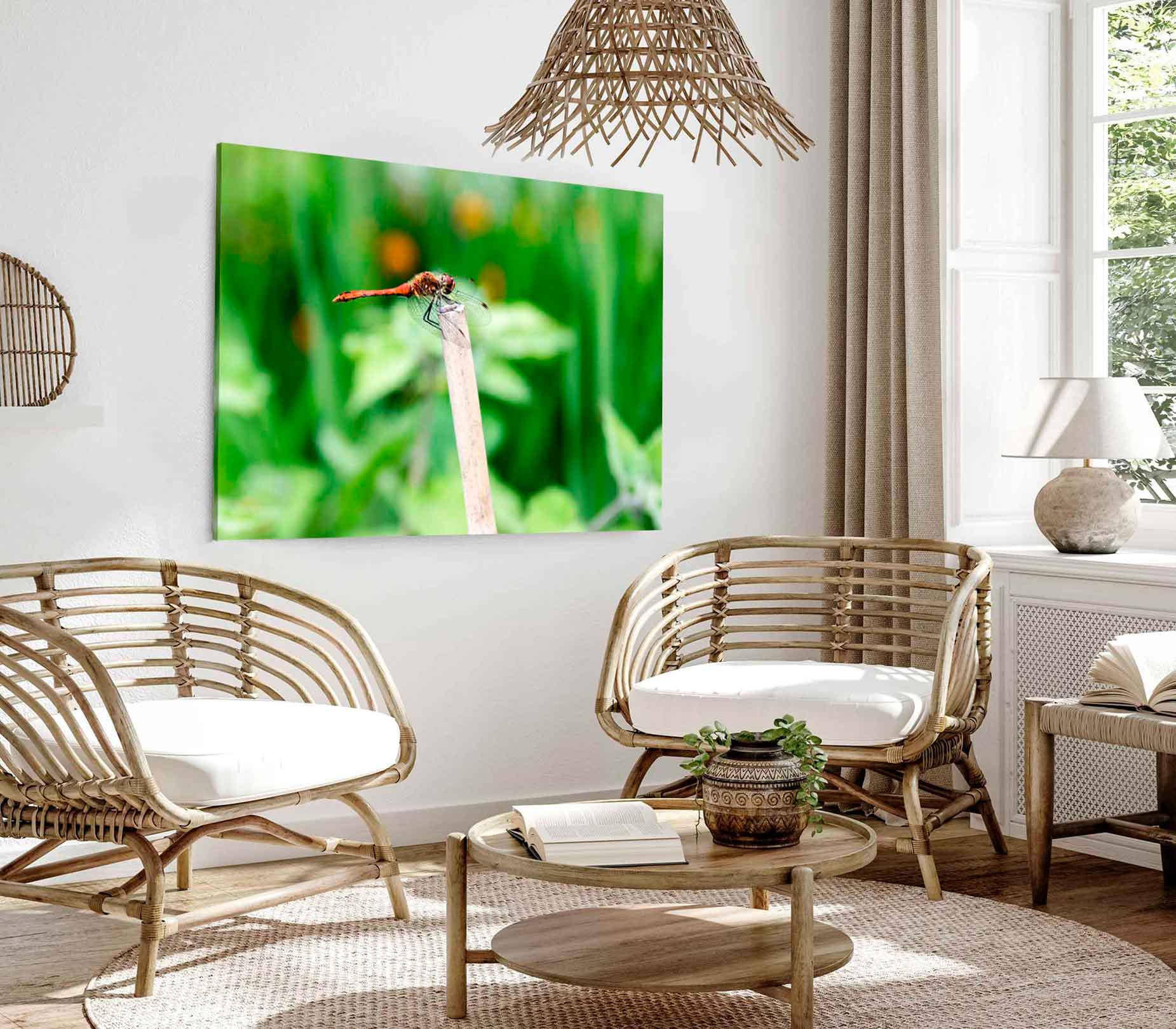 Bella Home Red Dragonfly Closeup Shot View Print Canvas Ready to hang