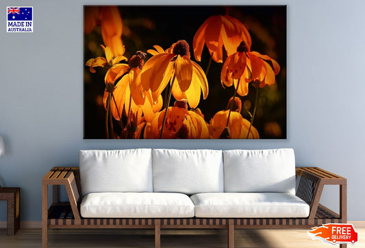 Orange Coneflowers Closeup Photograph Print 100% Australian Made