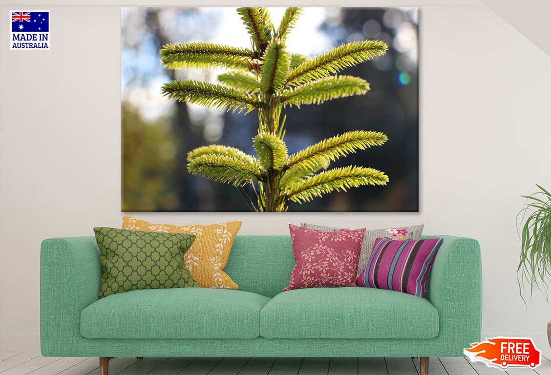 Plant Closeup Photograph Print 100% Australian Made